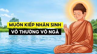 Muôn Kiếp Nhân Sinh  Vô Thường Vô Ngã Duyên Sinh [upl. by Atreb151]