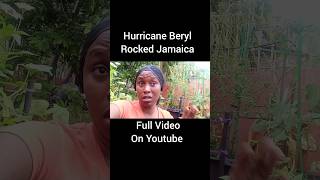 Hurricane Beryl 🌀🌀 Impacting Jamaica Hurricane Beryl Impact On My Garden [upl. by Harrison340]