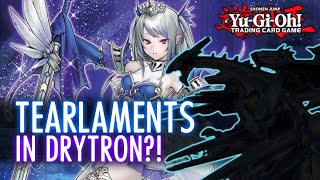 4 INTERRUPTIONS TEARALAMENTS IN DRYTRON COMBO YuGiOh 2022 [upl. by Yeclehc371]