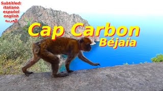 Le Cap Carbon Le Plus Haut Phare Naturel au Monde  Béjaia  Algérie [upl. by Nnaeinahpets]