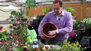 How to plant a hanging basket for Summer Colour  The Pavilion Garden Centre Cork [upl. by Paugh398]