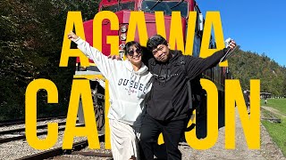 Agawa Canyon Train Tour [upl. by Aemat]