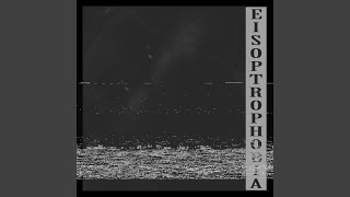 Eisoptrophobia [upl. by Neeoma]