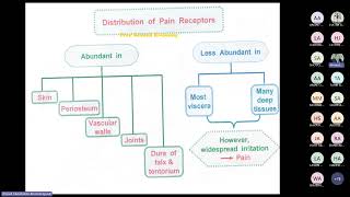 Pain analgesia amp Mechanisms of neuropathic pain by Prof Ahmed Elgendy [upl. by Aneeres]