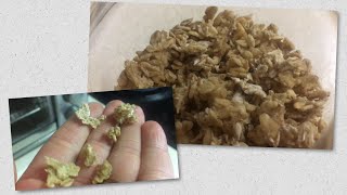 Soaking Oats Phytate Removal or Making Granola [upl. by Aislehc]