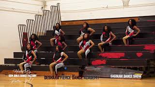 DESHARA FIERCE DANCE ACADEMY  STAND IN THE STANDS  Pontiac MI  Majorette Dance Competition [upl. by Nnylacissej]