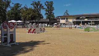 Haflinger EUROPACHAMPIONAT 2024 in StadlPaura Lena auf Witiko [upl. by Webber]