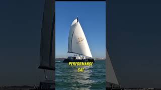 Performance Catamaran vs Cruising Catamaran Unveiling the Truth shorts sailingyacht catamarans [upl. by Nehpets749]