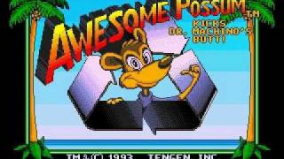 Awesome Possum Intro Sega Genesis [upl. by Teodorico]