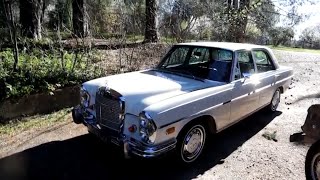 Mercedes 280se W108 1968 A Walkaround My Daily Driver [upl. by Ulrike548]