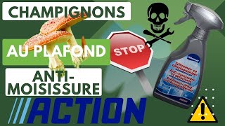 🍄Comment se débarrasser des moisissures efficacement et durablement Antimoisissures Action TEST😱 [upl. by Finegan]