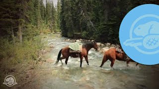 Good Days amp Bad Days The Backcountry Wardens of Jasper National Park [upl. by Bili]