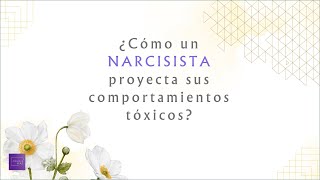 ¿Cómo un NARCISISTA proyecta sus comportamientos tóxicos [upl. by Naxela]