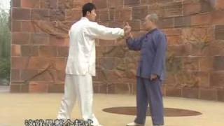 Yang Tai Chi combat tutorial [upl. by Ruhl492]