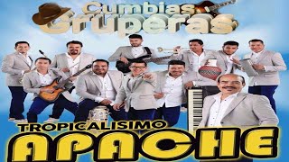 LO MEJOR DE TROPICALISIMO APACHE EXITOS MIX  CUMBIAS GRUPERAS 2024 😎 [upl. by Eerolam754]