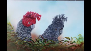 Ganggang cockatoo  In the wild and Painting cockatoos as art [upl. by Rue711]