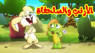 الأرنب والسلحفاة  طيور بيبي Toyor Baby [upl. by Luar30]