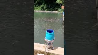 Smart Feeder eFishery mampir ke AlIdrusiyyah Tasik [upl. by Eyllek]