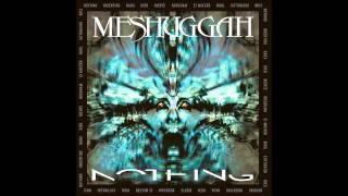 Meshuggah  Rational Gaze ﴾Ƨlow﴿ [upl. by Fitts]