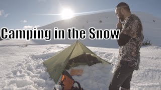 Winter Camping  Tarp bivy and dog [upl. by Rella]