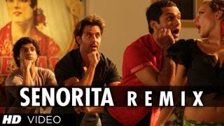 Senorita Remix Full video song Zindagi na milegi dobara [upl. by Fujio445]