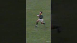 INCREDIBLE DUMMY PASS Respect 👊 You ask we deliver springboks allblacks highlights [upl. by Adamo]