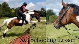 Bramfield XC Schooling  Mum takes back the jumping reins [upl. by Nishom115]