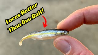 These Minnow Lures Are Better Than Live Bait [upl. by Averil814]