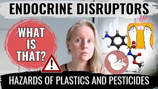 ENDOCRINE DISRUPTORS WHAT IS THAT HAZARDOUS TOXINS IN PLASTICS AND PESTICIDES HORMONAL DISORDERS [upl. by Hortensia]