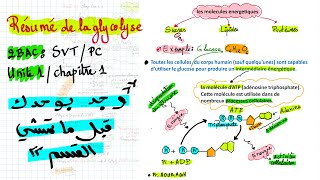 Résumé de la glycolyse  chapitre 1 unité 1 2BAC SVTPC [upl. by Hegarty]