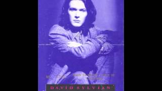 David Sylvian  LIVE IN THEATRE  1988  FULL CONCERT [upl. by Aiker103]