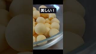 簡単！たまごボーロの作り方！おじさんのお菓子作り お菓子作り 自炊 vlog [upl. by Anitneuq]