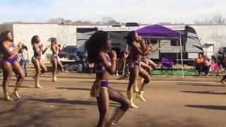 The Diamond Misses amp Purple Diamonds aka DM and PD at the 2017 MLK Parade [upl. by Madid]