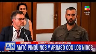 🔴 FALLO HISTÓRICO Condenaron a un empresario por la matanza de pingüinos [upl. by Serena]