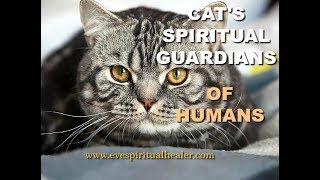 Cats Spiritual Guardians Of Humans [upl. by Eibor]