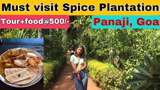 Full Detailed Guide of Spice Plantation  Sahakari Spice Farm  Goa’s Tourist Places  findingindia [upl. by Frasco]