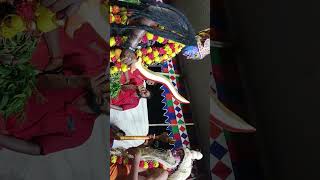 kamsalipalem durgamma katha 🙏kalikadevi subscribe please [upl. by Nagar]