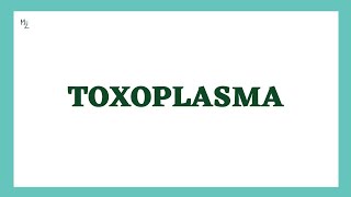 Toxoplasma gondii  Toxoplasmosis  Life Cycle Diagnosis Treatment amp Prevention  MEDZUKHRUF [upl. by Latrina]