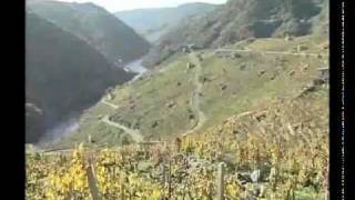 Vino DO Ribeira Sacra [upl. by Drawde]