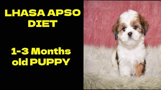 Puppy Diet Plan For First 3 Months 90 Days  Lhasa Apso [upl. by Llirrem]