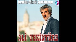 ALİ TEKİNTÜRE  BAHARI BEKLEYEN KUMRULAR GİB [upl. by Herminia839]