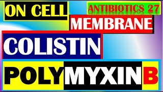 Colistin Polymyxin B Antibiotics Pharmacology Mechanisms Actions Resistance Part 27 [upl. by Kinzer]