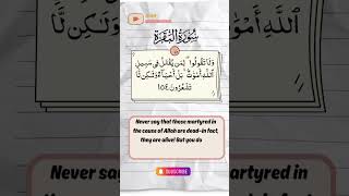 The Reward of Martyrdom Surah AlBaqarah 2154 youtubeshorts ytshort [upl. by Kim11]