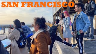 Walking San Franciscos Embarcadero  Fishermans Wharf Pier 39 Ferry Building [upl. by Ursal748]