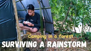 Surviving a Rainstorm  Camping in a Forest Shelter  camping survival [upl. by Kezer]