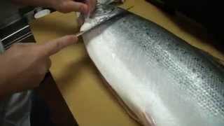 How To Fillet a Whole Salmon  How To Make Sushi Series [upl. by Palma]