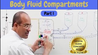 Body Fluid Compartments  IV Fluids  Types amp Uses Part 1🩺 [upl. by Aneleiram]