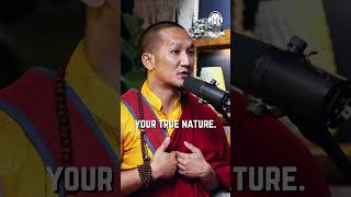 What Is The Meaning Behind Avlokiteshvara Palga Rinpoche Explains shorts [upl. by Terrie]