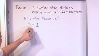 Finding Factors of Numbers  5th Grade Math [upl. by Bozuwa]