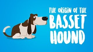 The Origin of the Basset Hound Animation [upl. by Sabian]